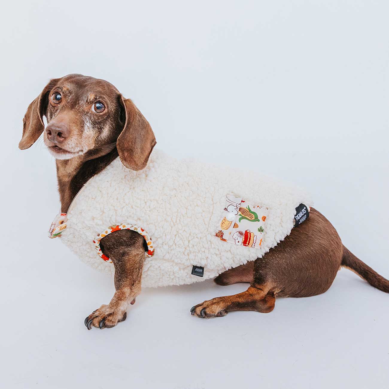 Dachshund wearing a white fleece sweater with cartoon character patches on a light gray background