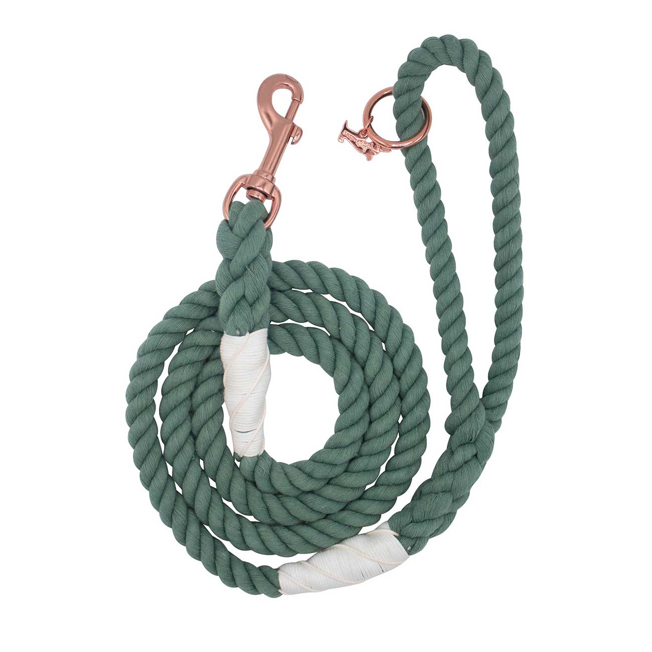 Green rope dog leash with rose gold clasp on a white background