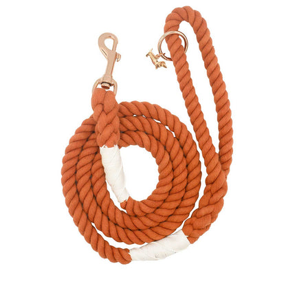 Orange rope dog leash with metal clips on a white background