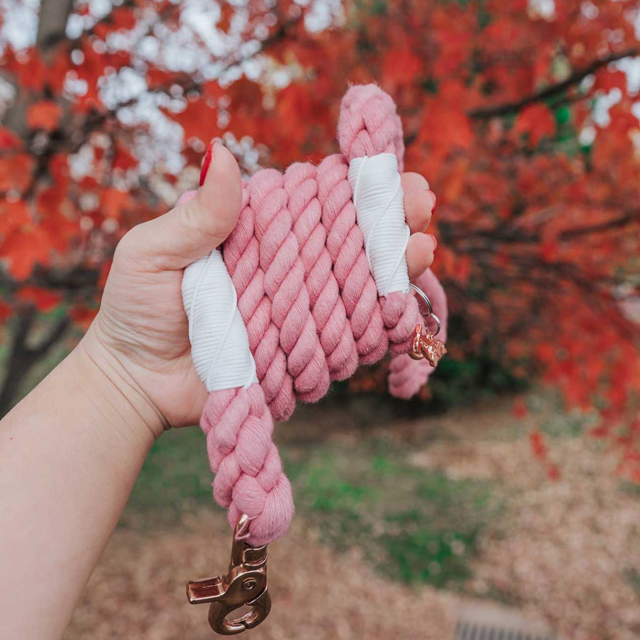 Hand holding a pink braided dog leash with a gold clasp against a blurred natural background