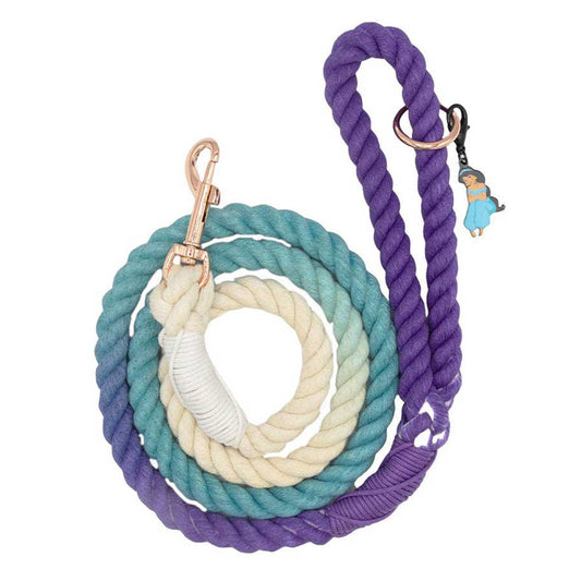 Set of colorful rope leashes with metal clips on a white background