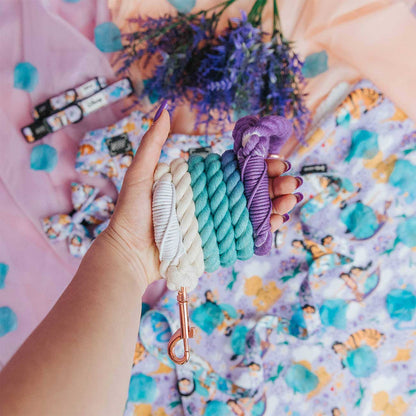 Hand holding a braided rope dog leash with a colorful background