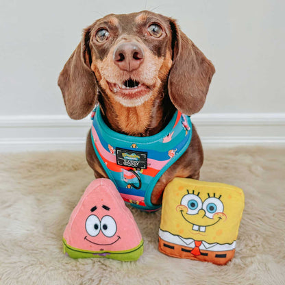 Dog wearing a colorful harness with two cartoon-themed dog toys on a carpeted floor.