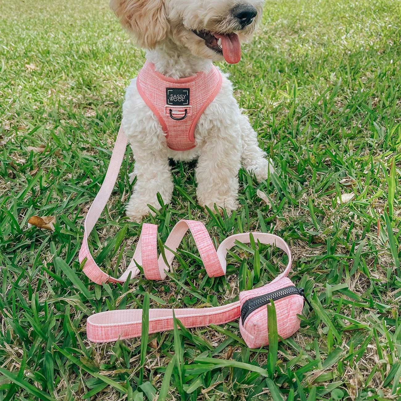 Dog wearing a pink harness and leash set on grass