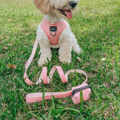 Dog wearing a pink harness and leash set on grass