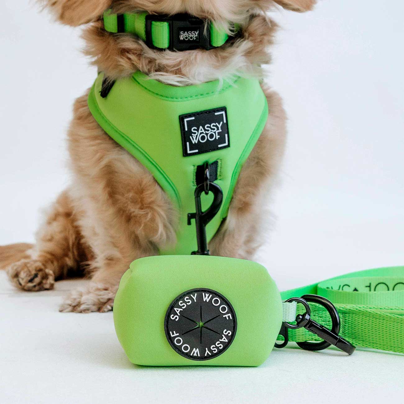 Dog wearing a green harness and leash set with 'Sassy Woof' branding next to a green dog waste bag holder on a white background.