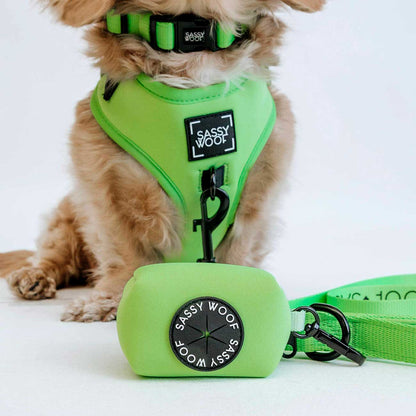 Dog wearing a green harness and leash set with 'Sassy Woof' branding next to a green dog waste bag holder on a white background.