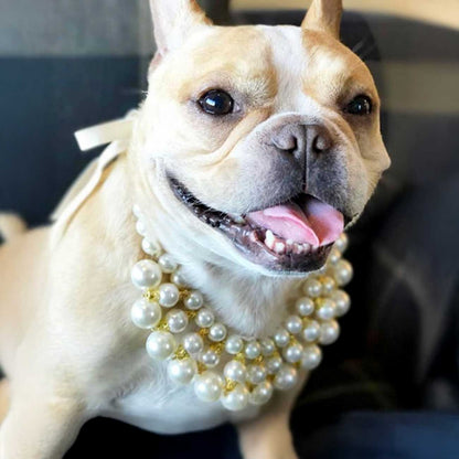 Dog wearing a pearl necklace with a blurred background