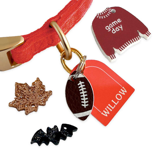 Dog collar with various charms and a tag on a white background