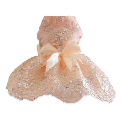 Lace dog dress with a bow on a white background