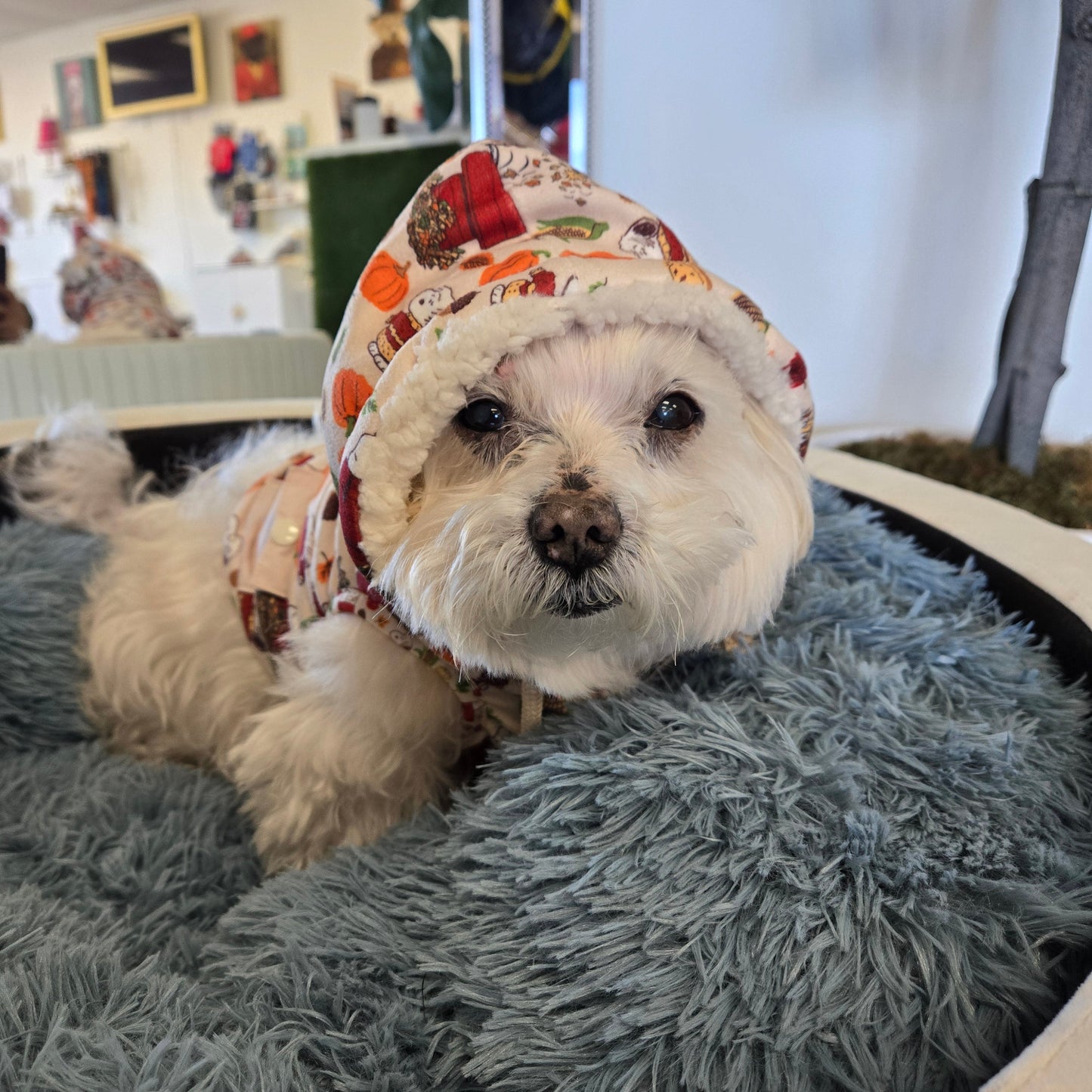 Dog Reversible Sherpa Jacket - Peanuts™ Harvest