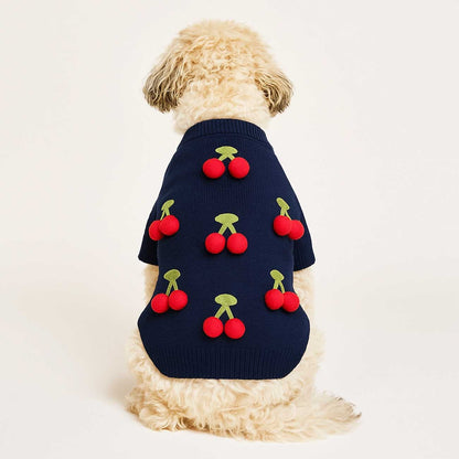 Dog wearing a navy sweater with red cherry patterns on a white background