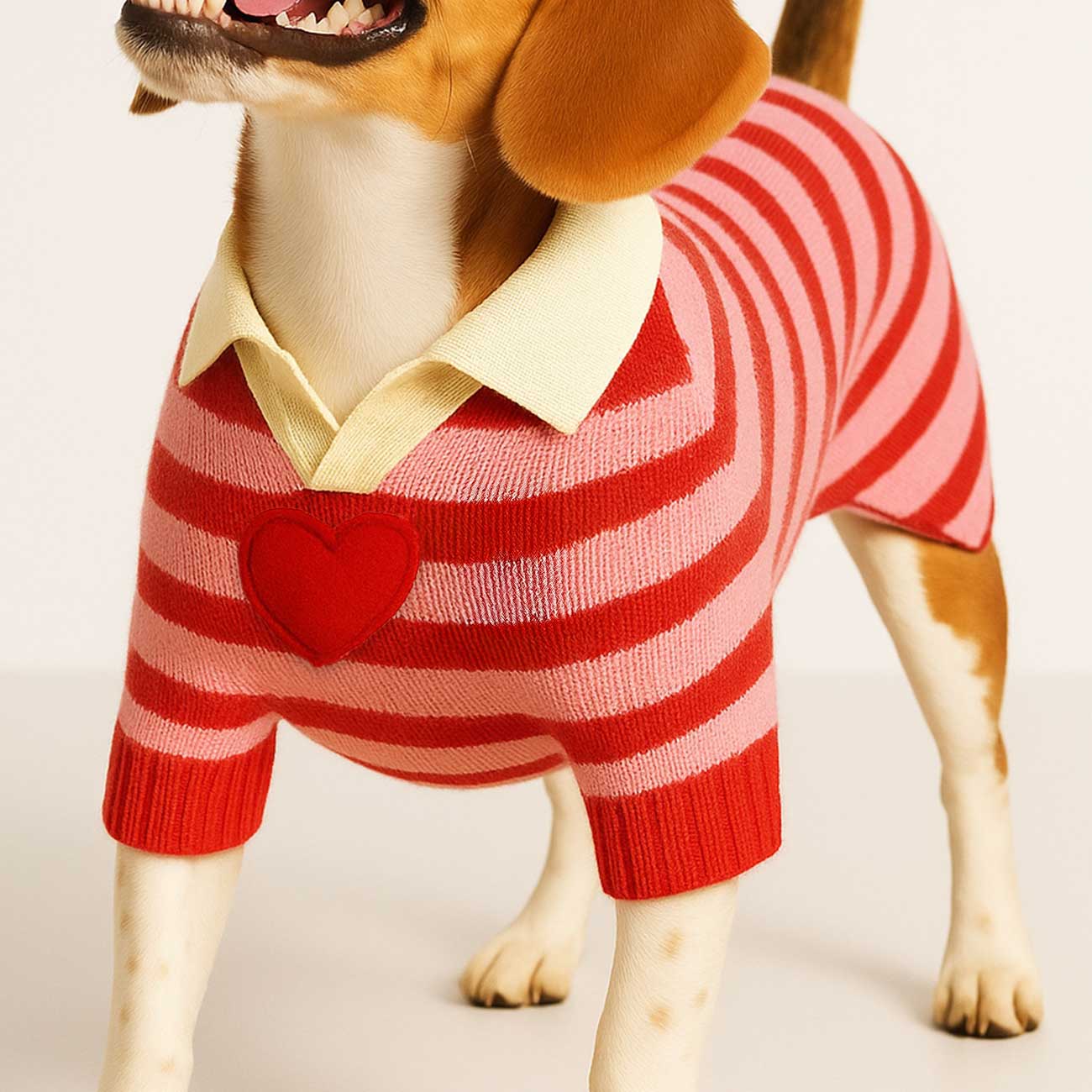 Dog wearing a red and pink striped sweater with a heart on a beige background