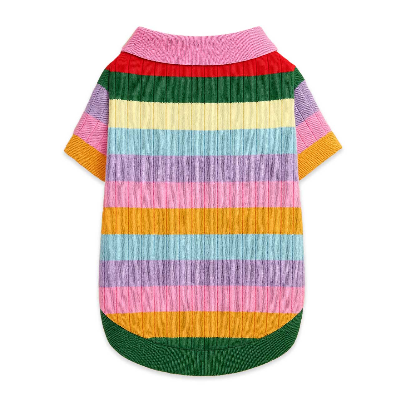 Colorful striped dog sweater on a white background