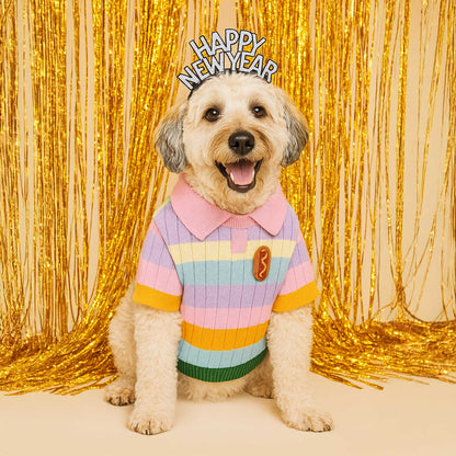 Dog wearing a colorful sweater and 'Happy New Year' crown against a gold tinsel background