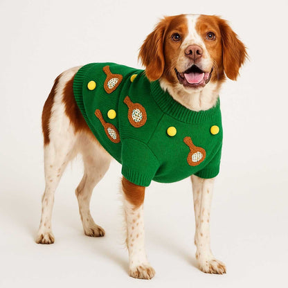 Dog wearing a green sweater with brown and yellow accents on a white background