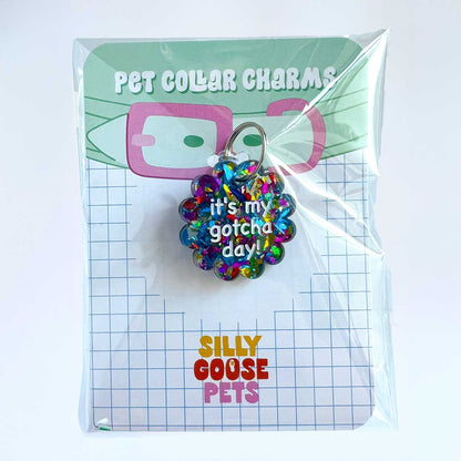 Colorful pet collar charm with text on a 'Silly Goose Pets' branded card.