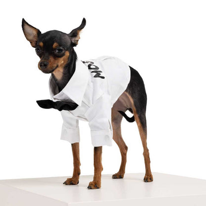 Small dog wearing a white robe with black text on a white background