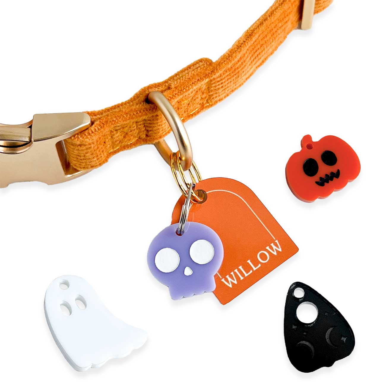 Dog collar with Halloween-themed tags and a pumpkin-shaped tag on a white background