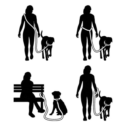 Silhouettes of people walking and sitting with dogs on leashes.