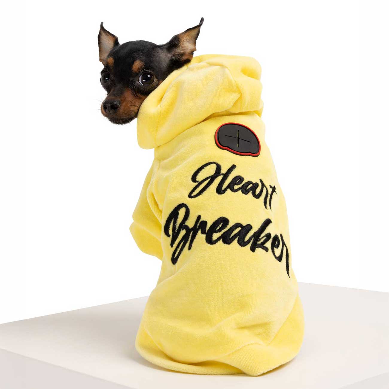 Small dog wearing a yellow hoodie with 'Heart Breaker' text on a white background