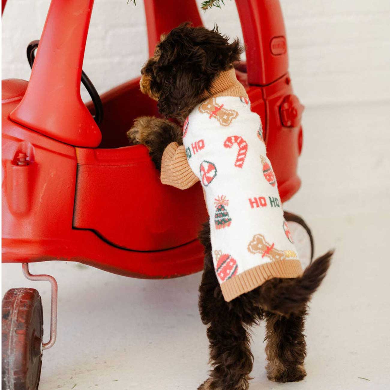 Dog wearing a festive sweater standing next to a red toy truck.