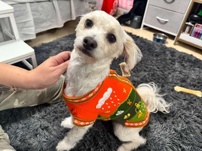 Peruvian Alpaca Pet Sweater with Zipper – Fashionable Apparel for Your Pet