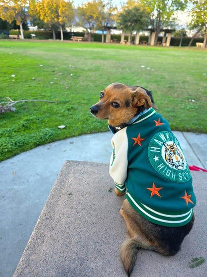 Stranger Things x maxbone Hawkins High Varsity Bomber Dog Jacket