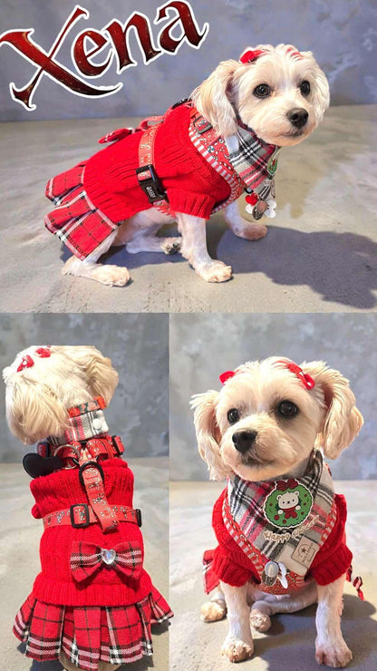 Red Plaid School Pet Dress - Classics Style for Small Pets