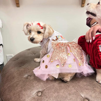 Pet Birthday Donut Outfit