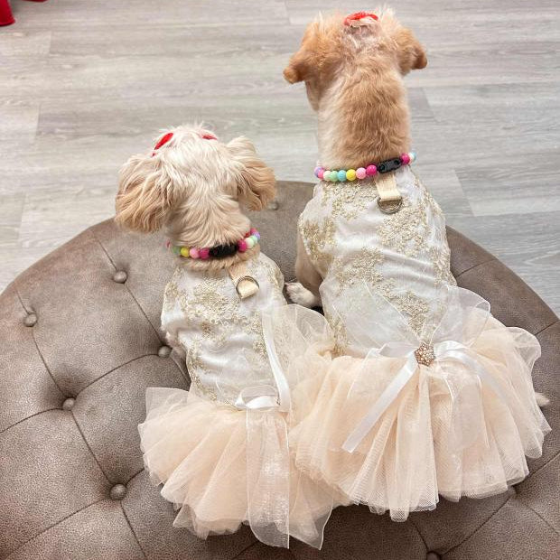 Adorable Bowknot Pet Dress