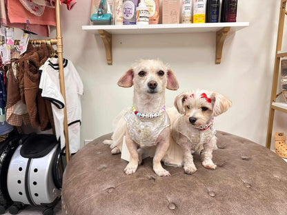 Adorable Bowknot Pet Dress