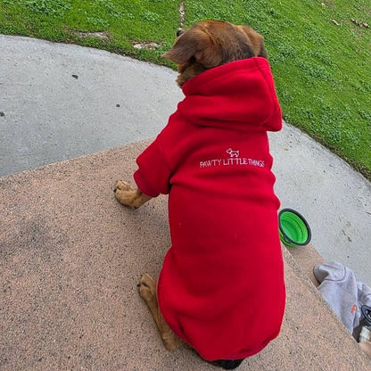 Pawty Little Things Pet Sweatshirt with Hoodie
