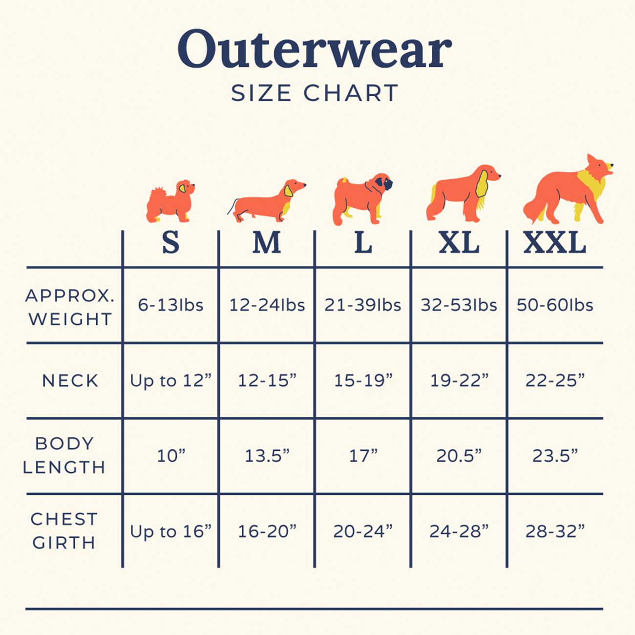 Dog outerwear size chart with illustrations of dogs in different sizes