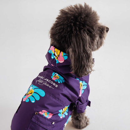Dog wearing a purple coat with colorful designs on a white background