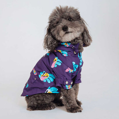Dog wearing a purple raincoat with colorful flower patterns on a white background