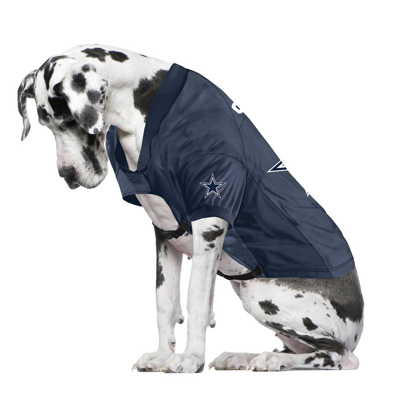 Dog wearing a navy blue jersey with a star logo on a white background