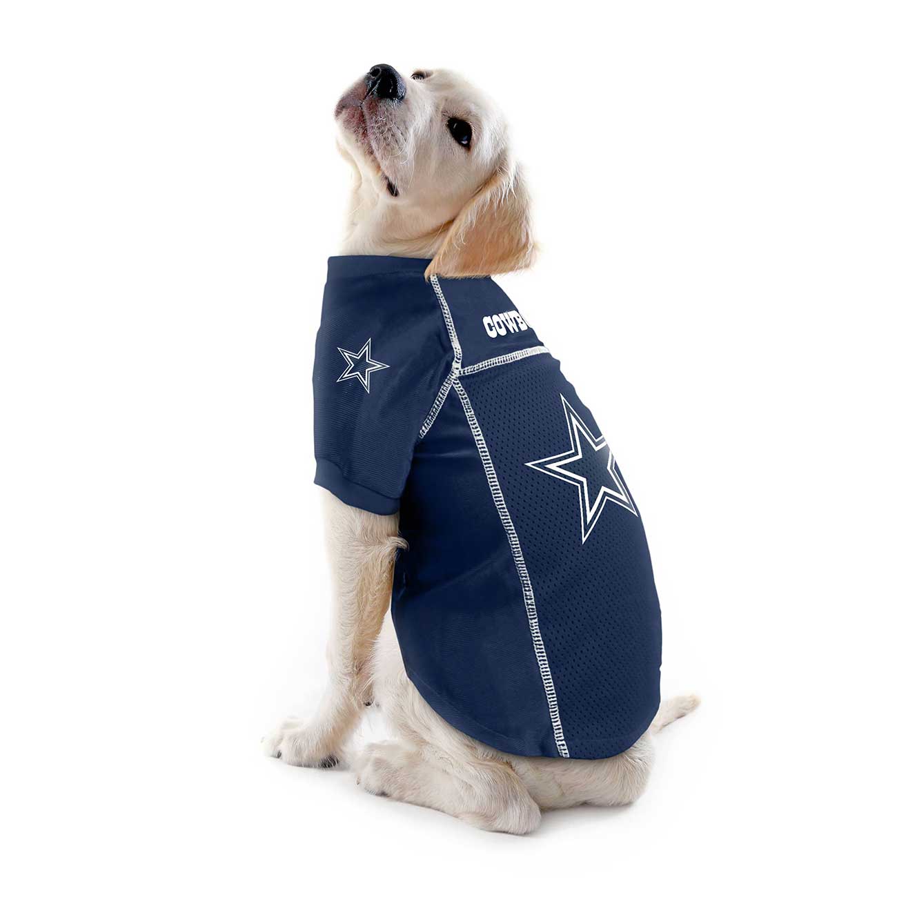 Dog wearing a Dallas Cowboys jersey on a white background