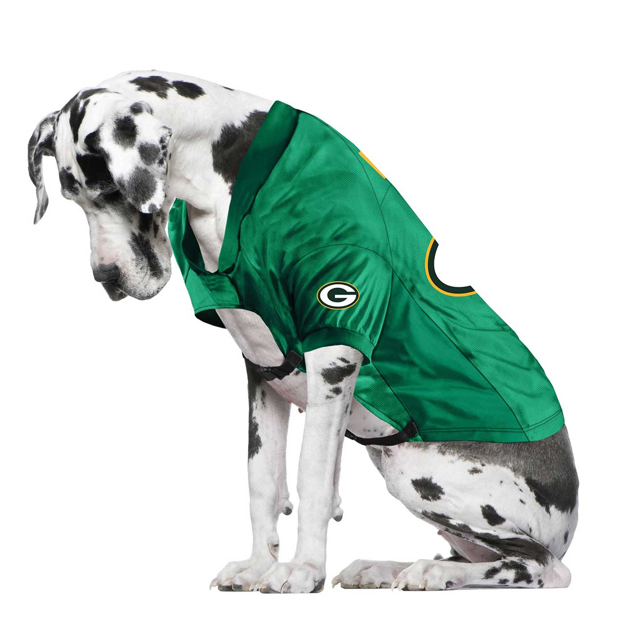 Dog wearing a green sports jersey with a logo on a white background