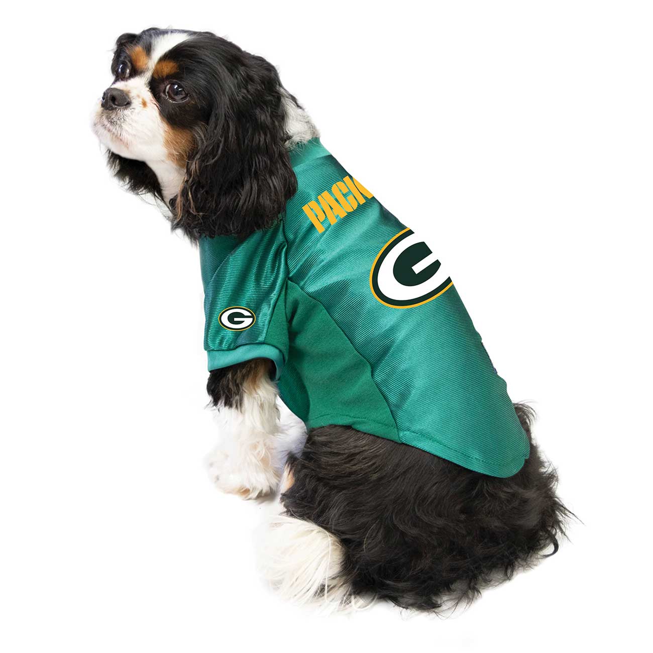 Dog wearing a Green Bay Packers jersey on a white background
