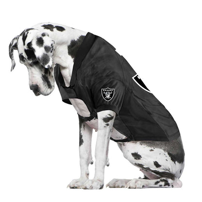 Dog wearing a black Oakland Raiders pet jersey on a white background