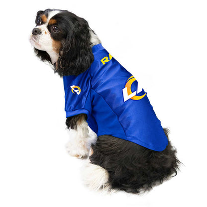 Dog wearing a blue sports jersey with logos on a white background