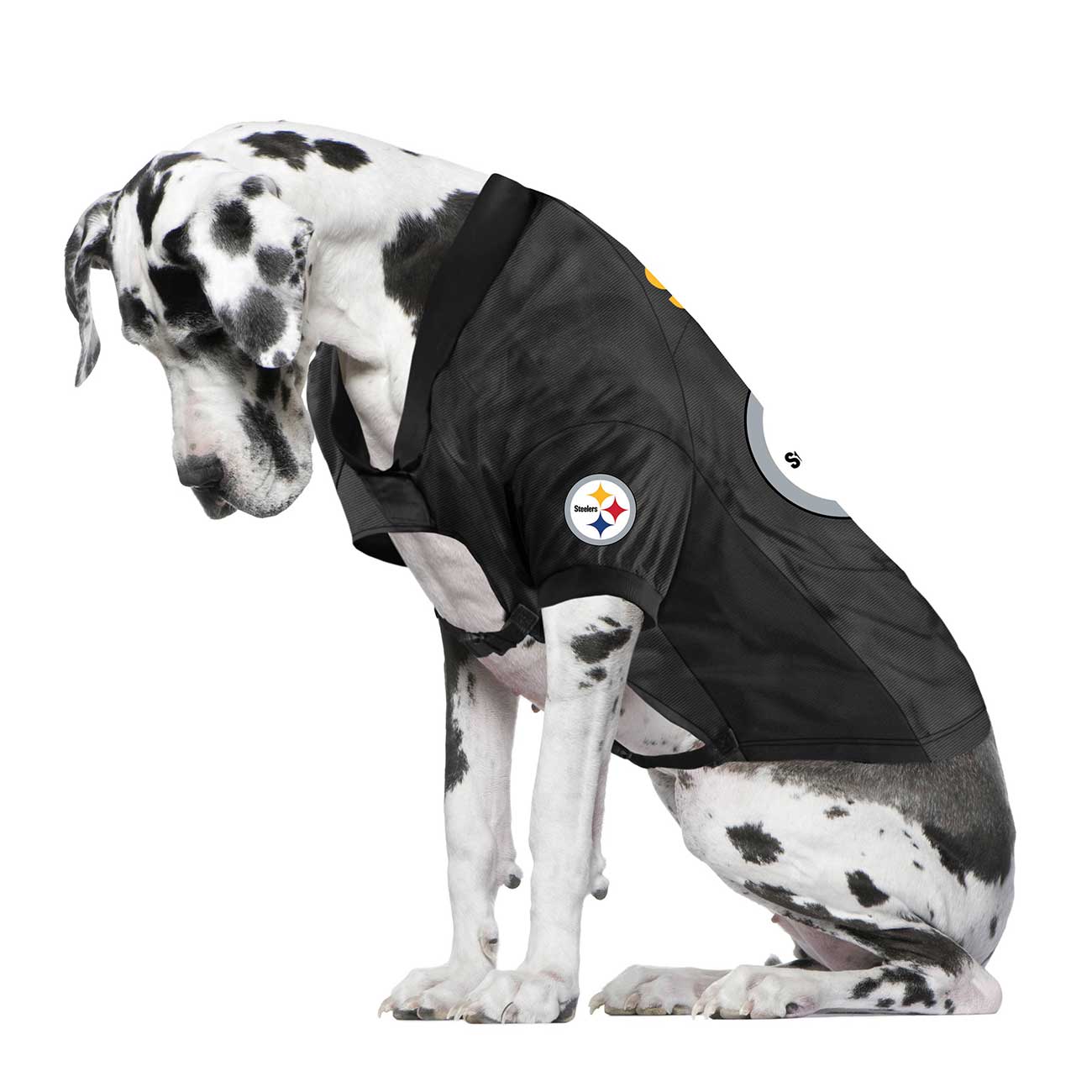 Dog wearing a black sports jersey with a logo on a white background