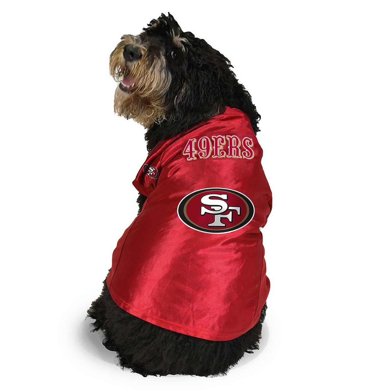 Dog wearing a red San Francisco 49ers jacket on a white background