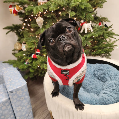Dog Adjustable Harness – Naughty