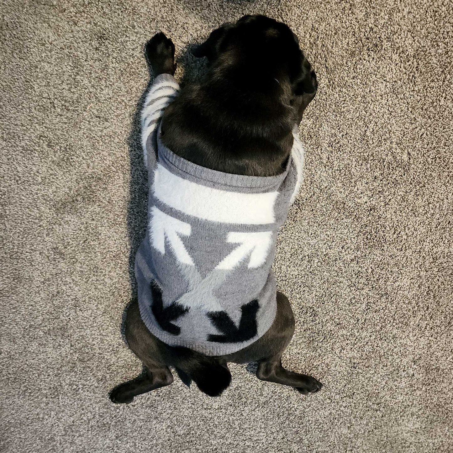 Designer Inspired O Sweater for Small Dogs