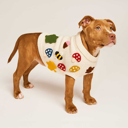 Pit bull dog wearing a sweater with colorful designs on a white background