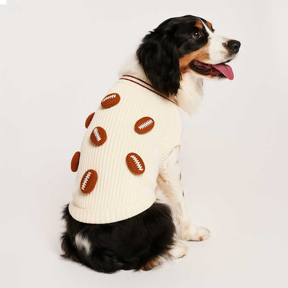 Dog wearing a sweater with football patterns on a white background