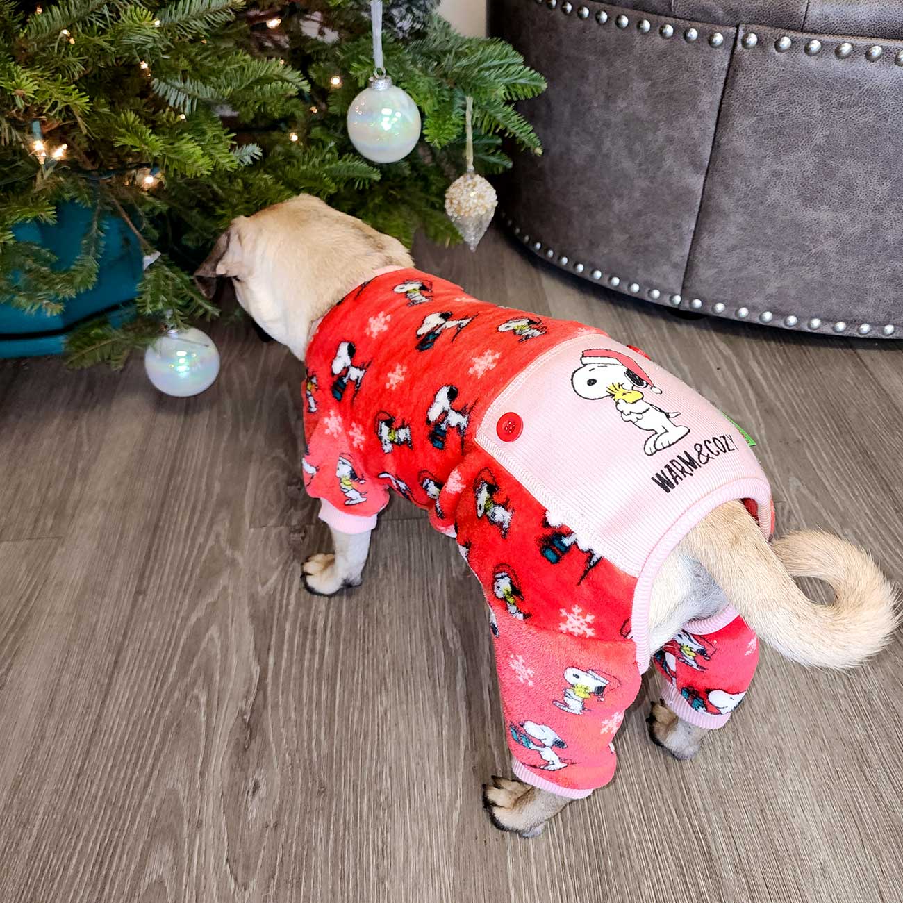 Dog wearing a red pajama set with cartoon characters near a decorated Christmas tree.