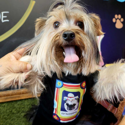 Pawteria Pet T-Shirt